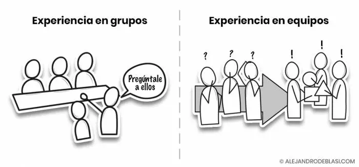 Experiencia en grupos y en equipos