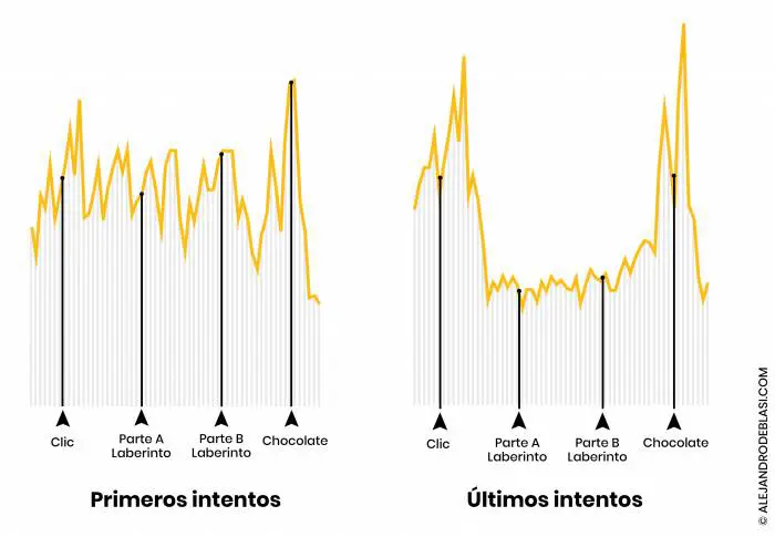 ondas cerebrales de ratones
